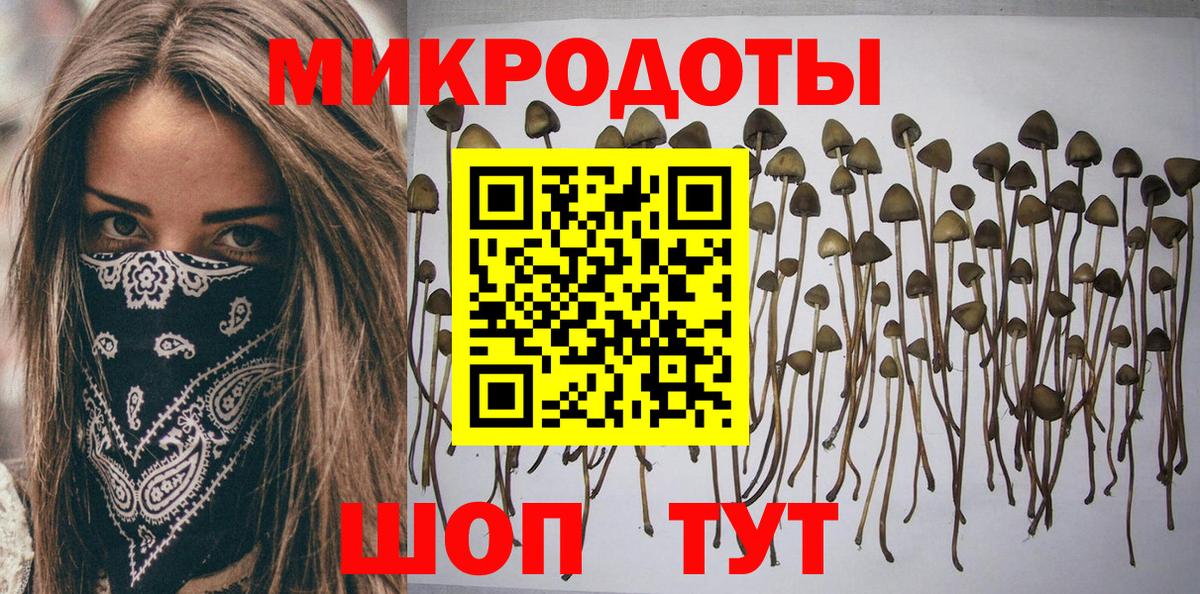 Галлюциногенные грибы Cubensis  что такое   Серпухов  Вход с VPN 